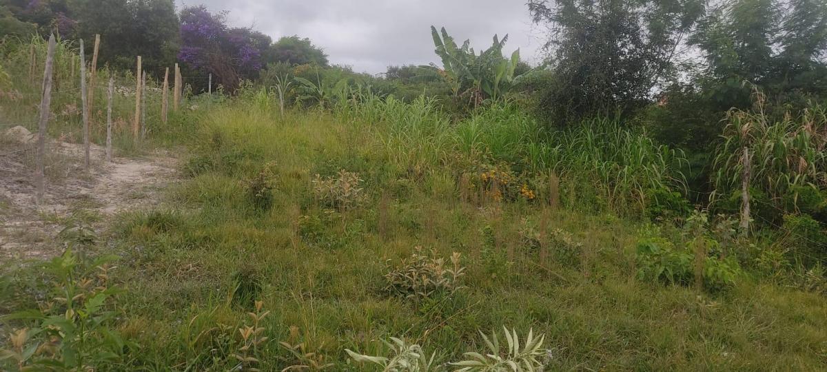 Foto - Ibicoara - Centro