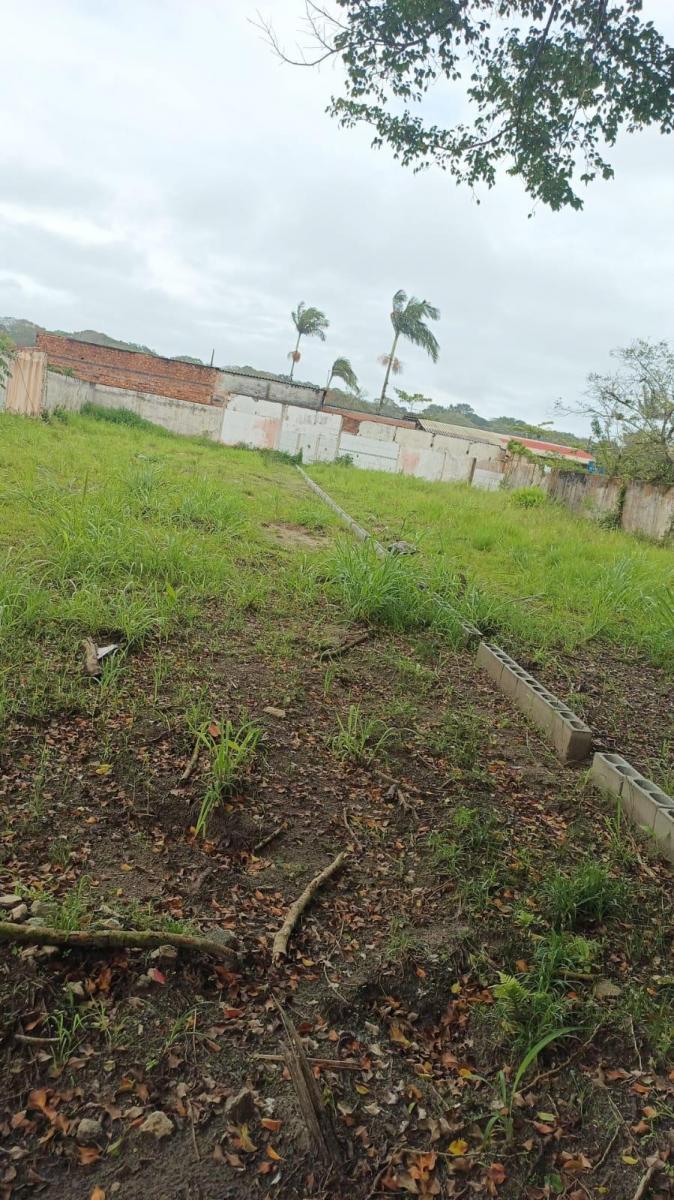 Foto - Pontal do Paraná - Praia de Leste