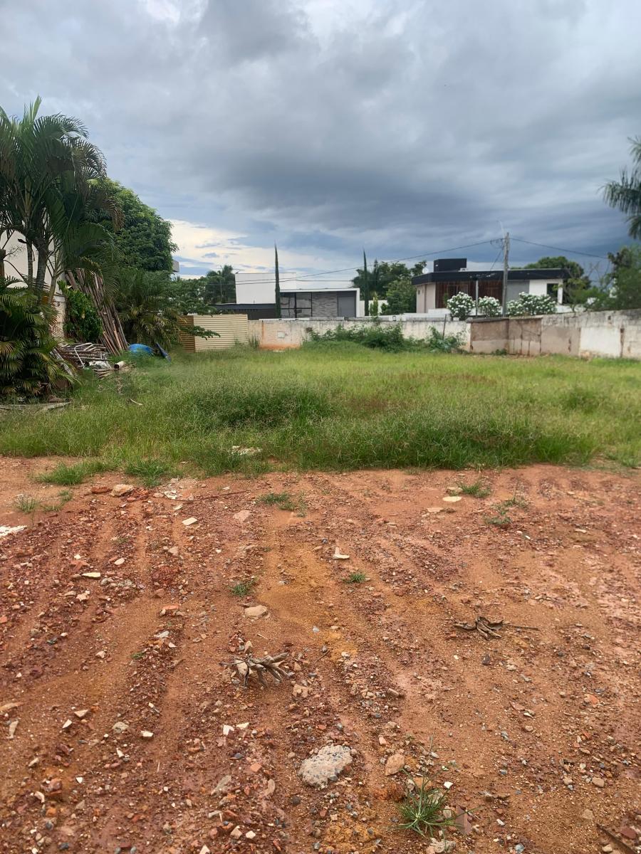 Foto - Brasília - Lago Norte