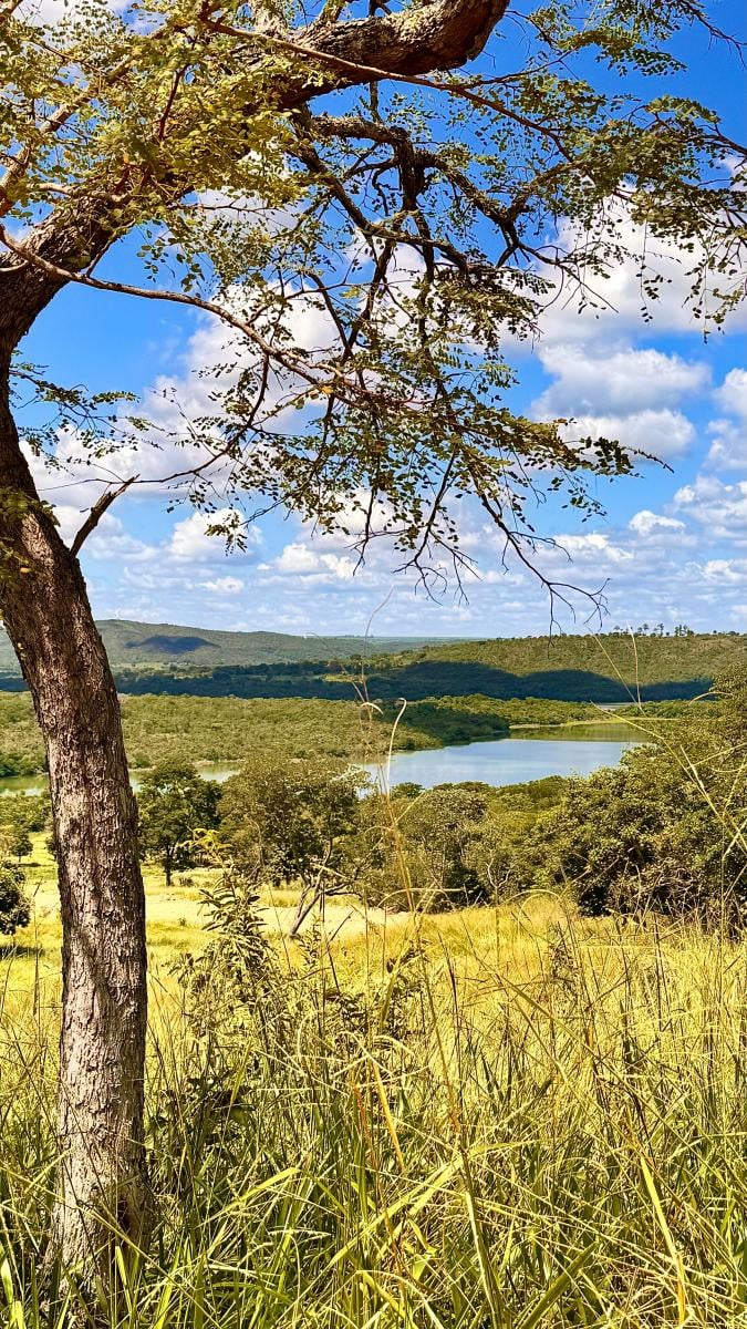 Foto - Luziânia - DICAL