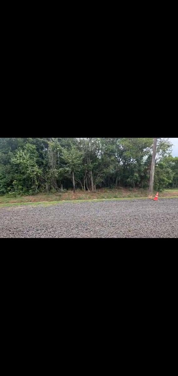 Foto - Pardinho - Centro