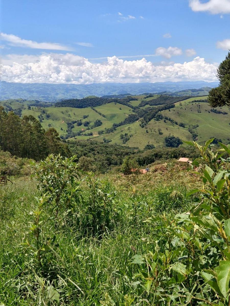 Foto - Cambuí - Zona Rural