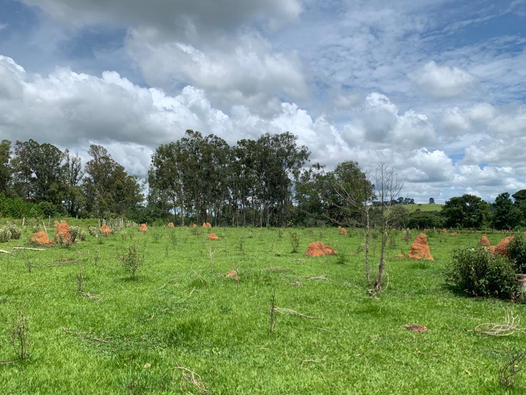 Foto - Boituva - Jardim Santa Cruz