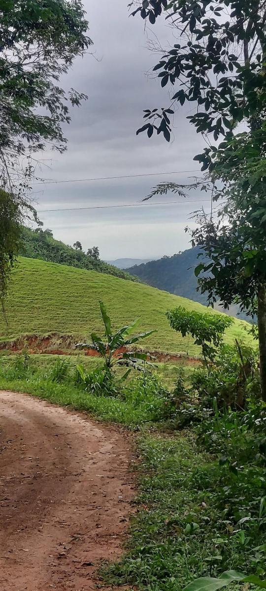 Foto - Alfredo Chaves - Alfredo Chaves