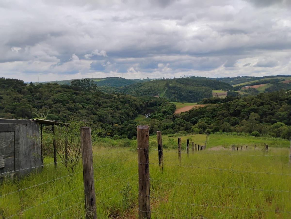 Foto - Piedade - Dos Vieirinhas