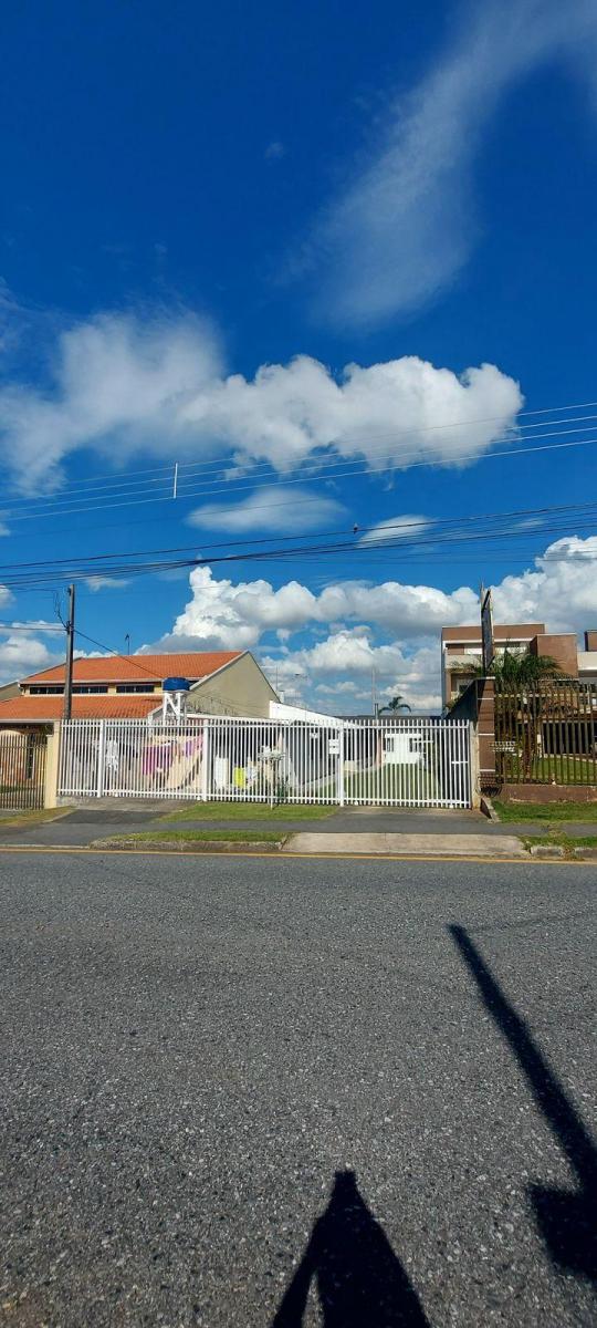 Foto - Curitiba - Xaxim