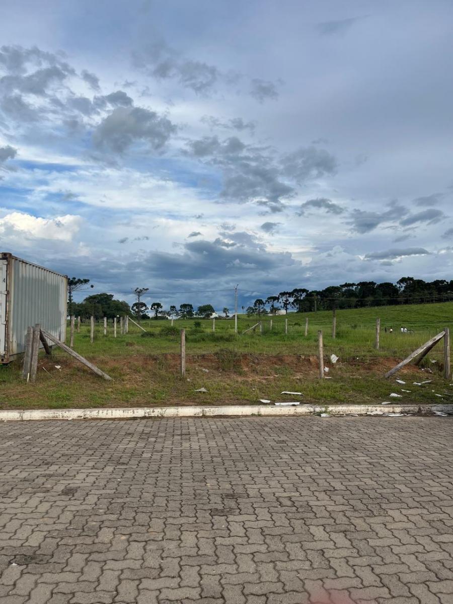 Foto - Taquara - Centro