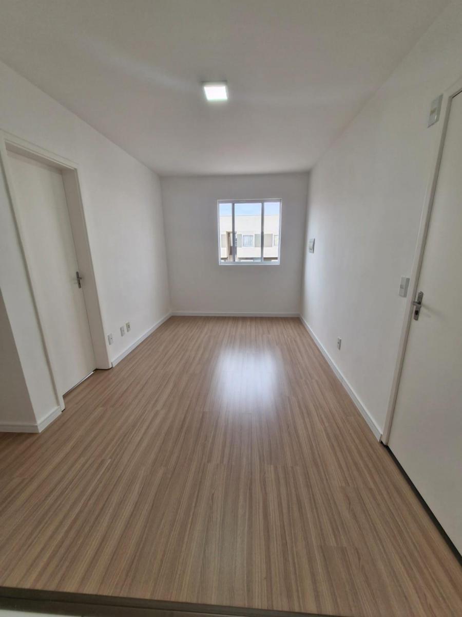 Foto - Araucária - Campina da Barra