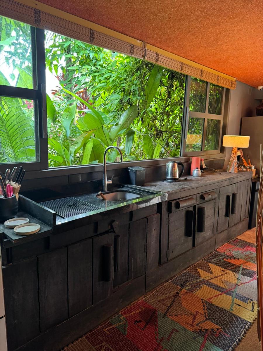 Foto - Camboriú - Macacos