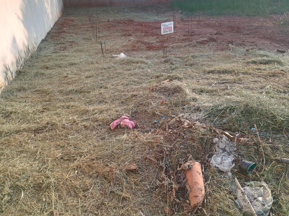 Foto - Artur Nogueira - Jardim Arrivabene III