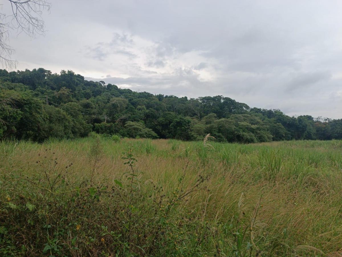 Foto - Atibaia - Cachoeira