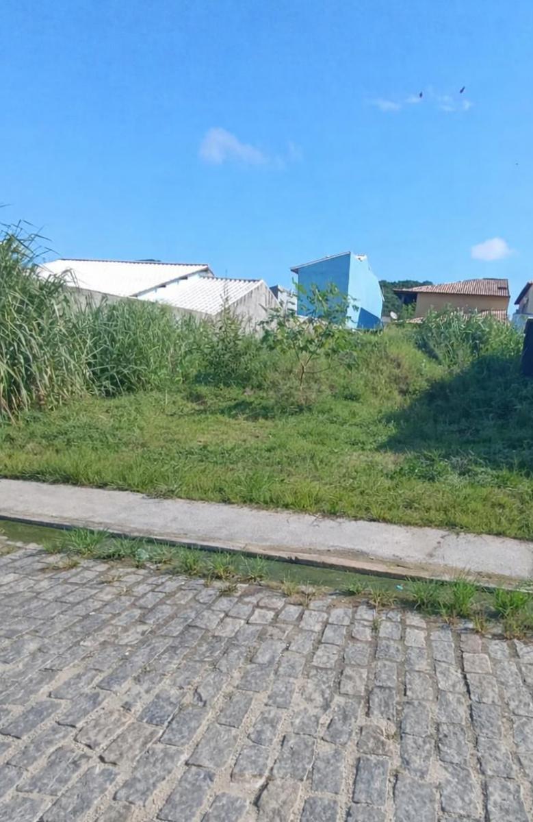 Foto - Armação dos Búzios - Tucuns