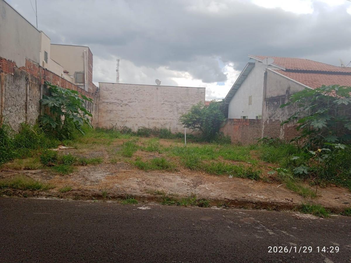 Foto - Cedral - Centro