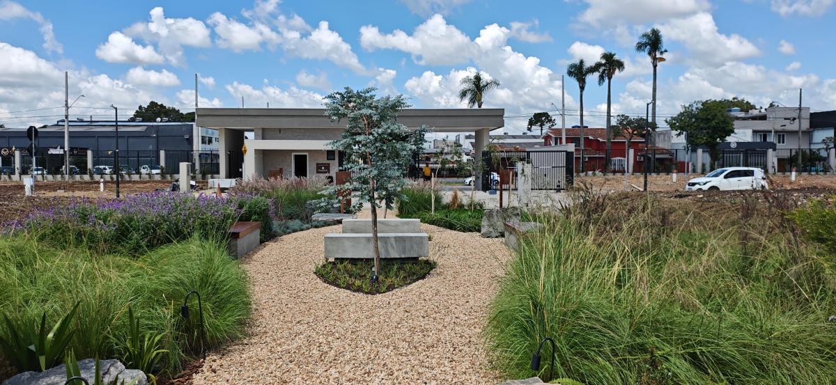 Foto - Curitiba - Hauer