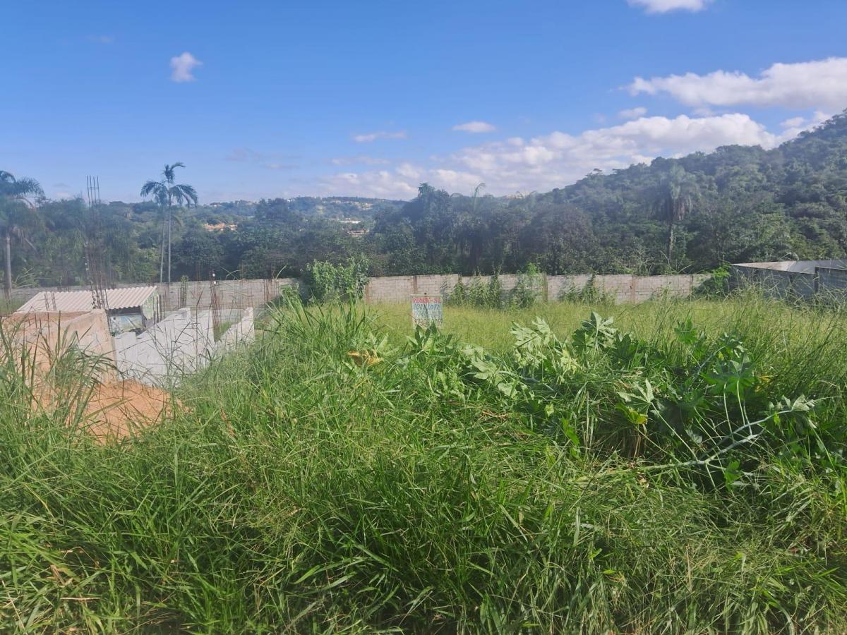 Foto - Sarzedo - Santa Rosa