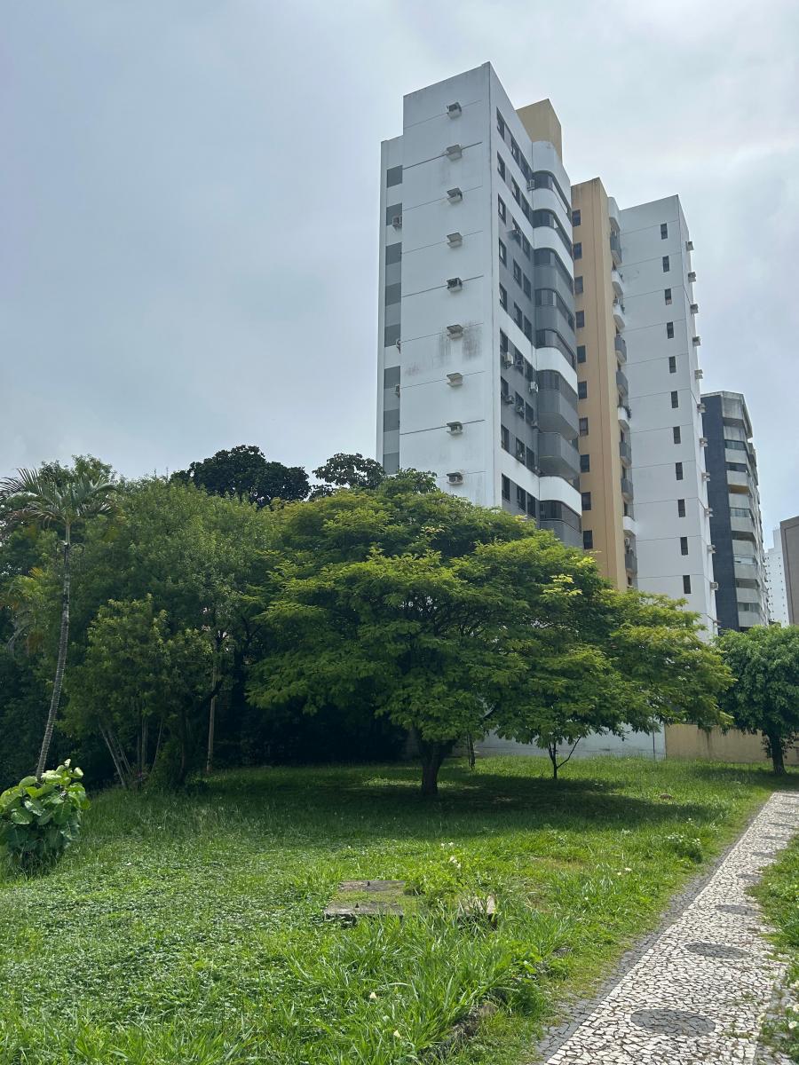 Foto - Salvador - Caminho das Árvores