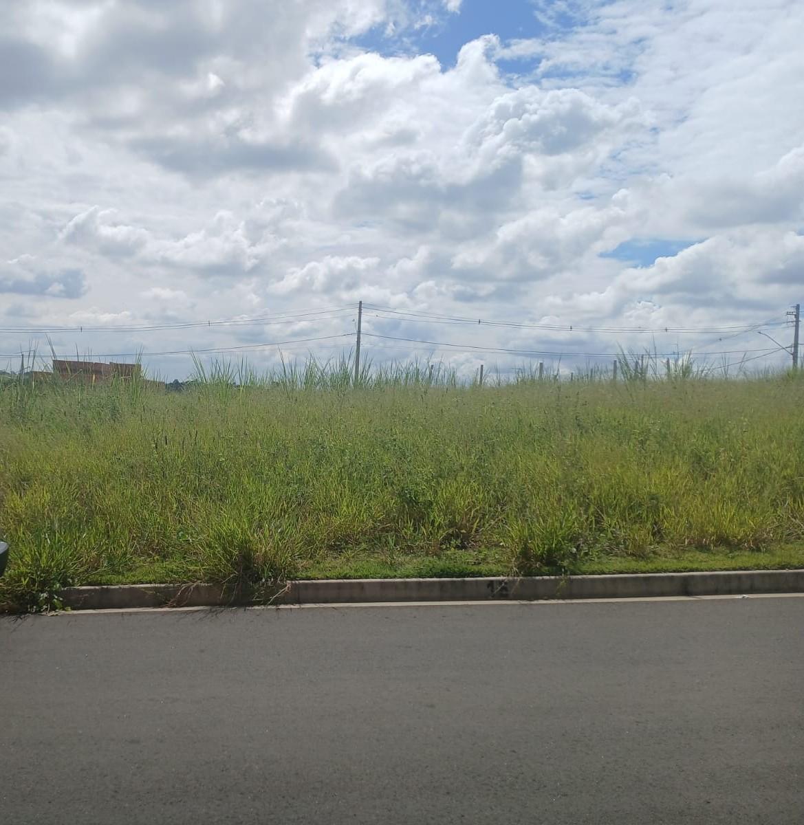 Foto - Campinas - 