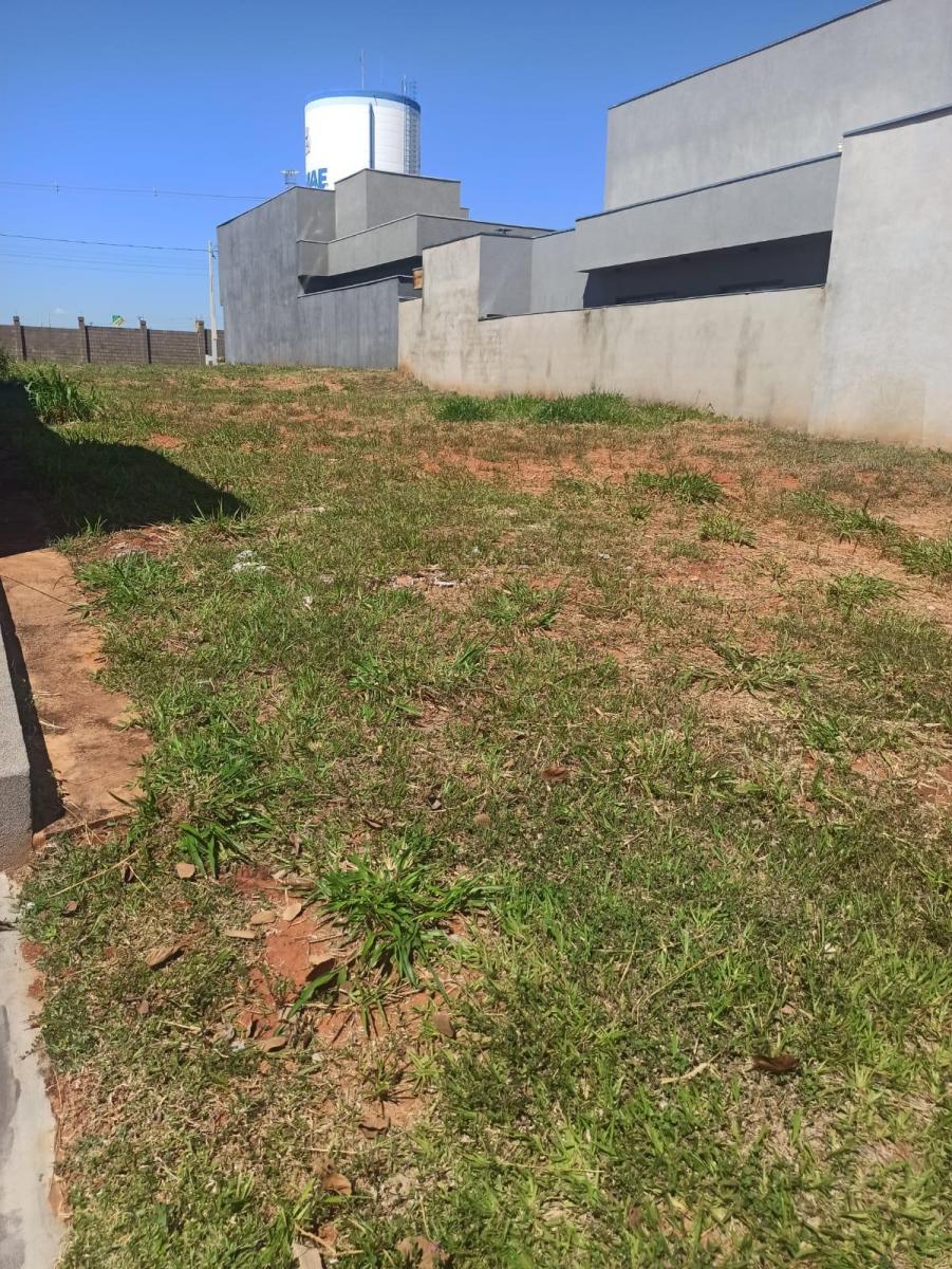 Foto - São José do Rio Preto - Residencial Maria Júlia