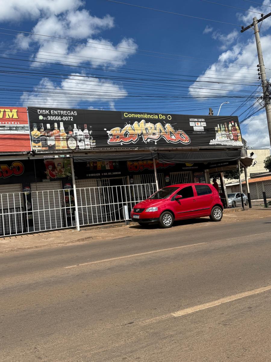 Foto - Samambaia - 