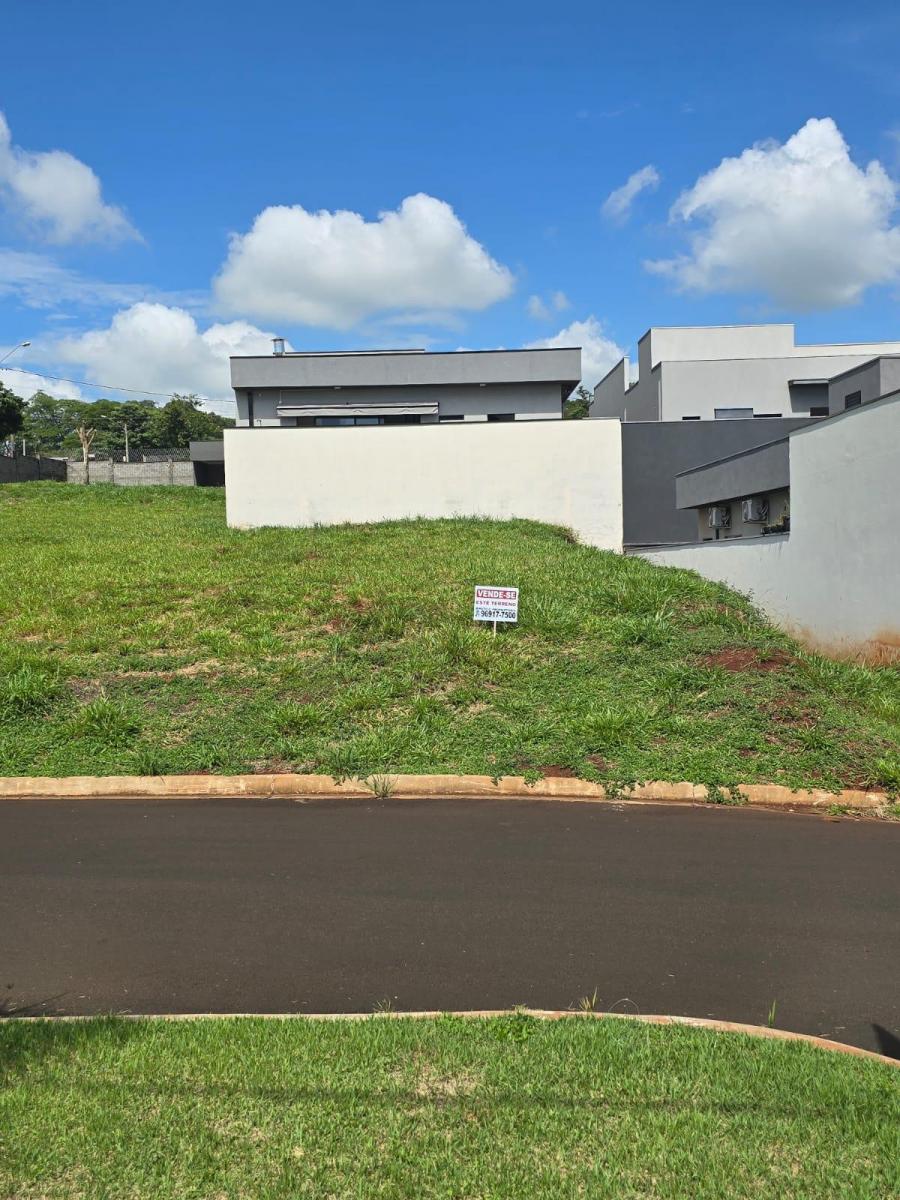 Foto - Ribeirão Preto - 