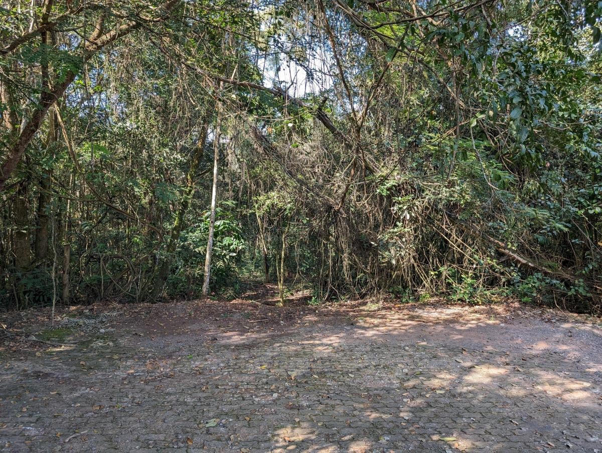 Foto - Brasília - Setor Habitacional Jardim Botânico