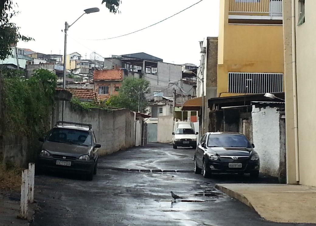 Foto - São Paulo - Limão