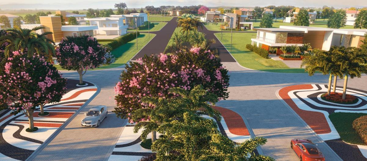 Foto - Brasília - 