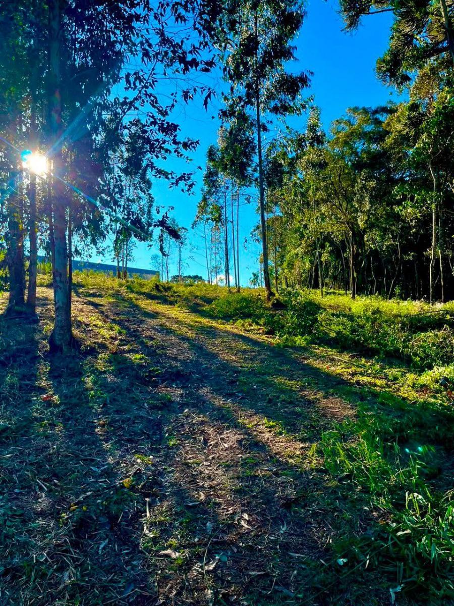 Foto - Campo Largo - Centro