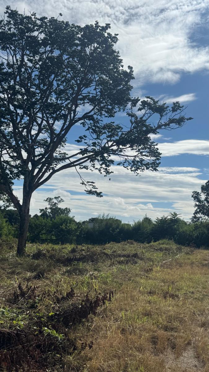 Foto - Brasília - Águas Claras