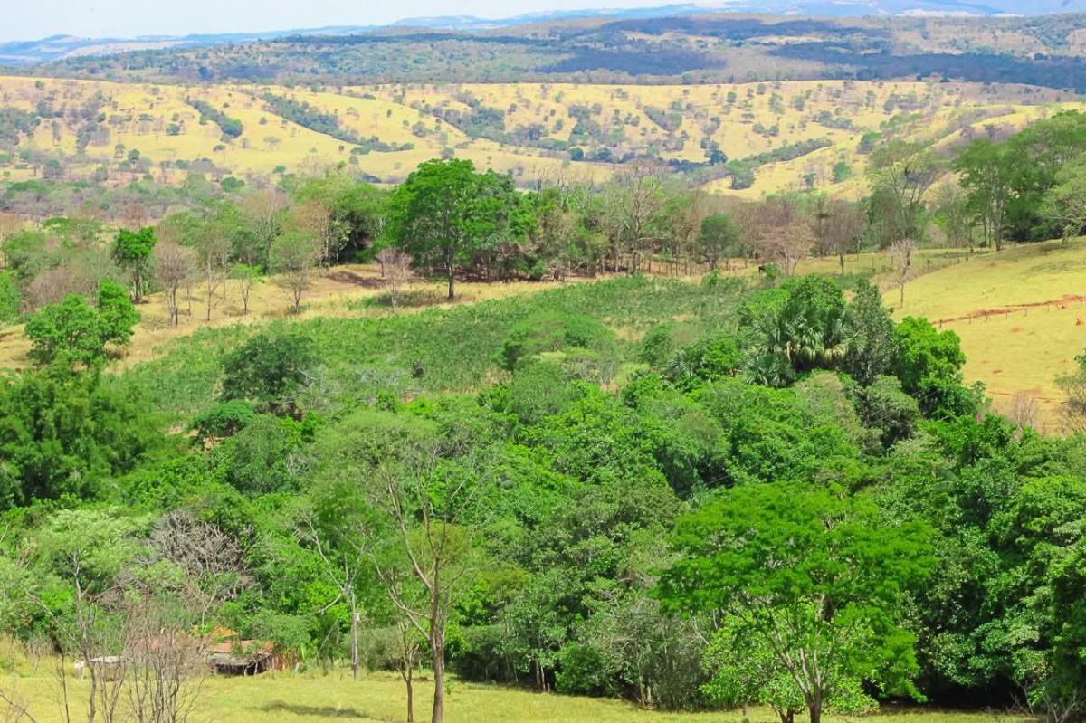 Foto - Pirenópolis - Zona Rural