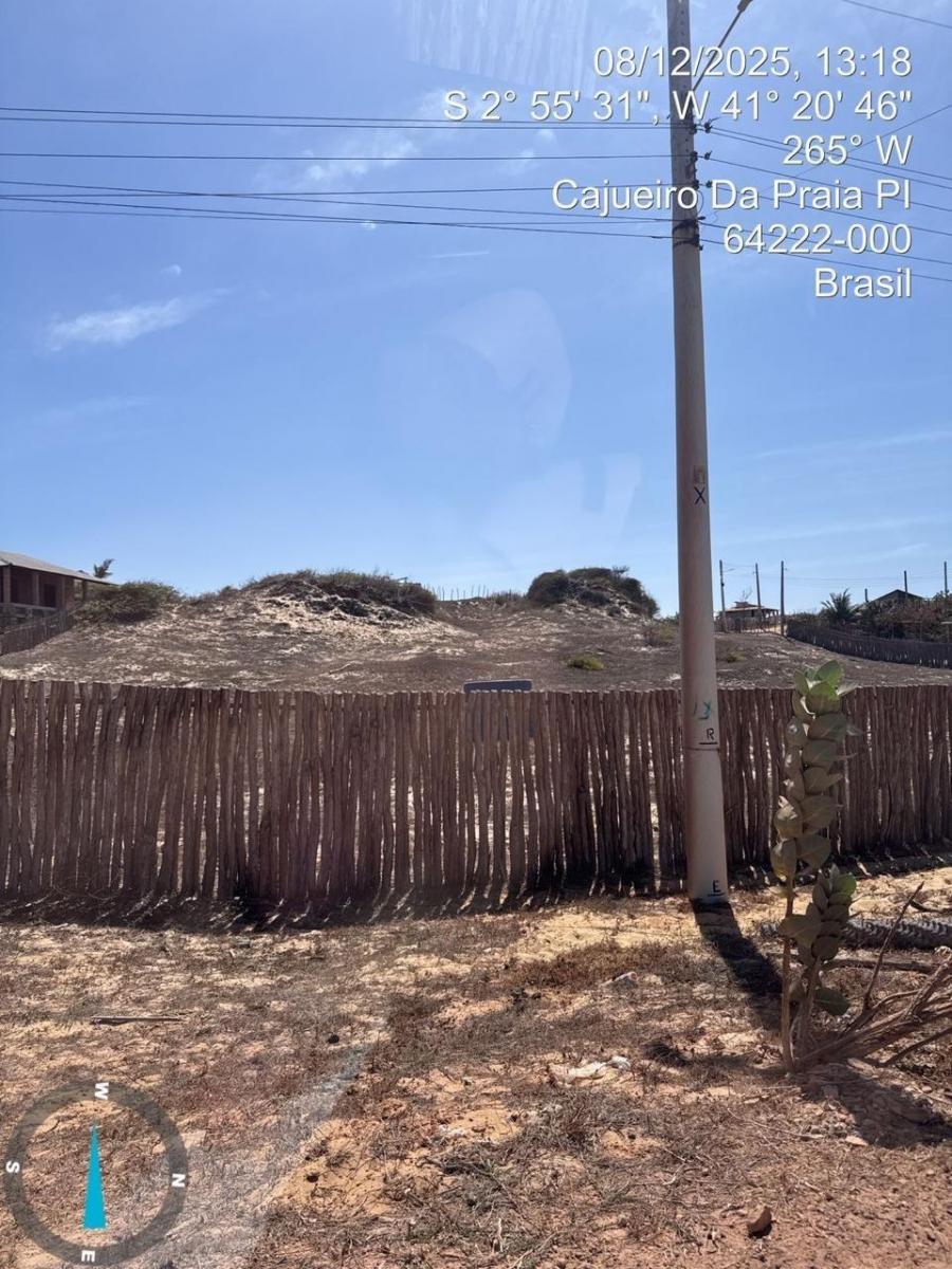 Foto - Cajueiro da Praia - 