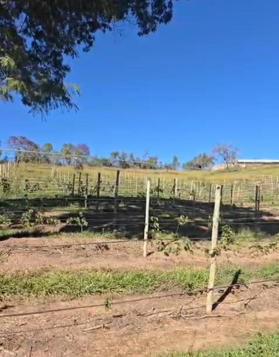 Foto - Santo Antônio do Descoberto - Centro